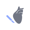 Thoracic & Cardiovascular Sugery