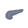 Gallbladder·Bile Duct·Pancreas Clinic